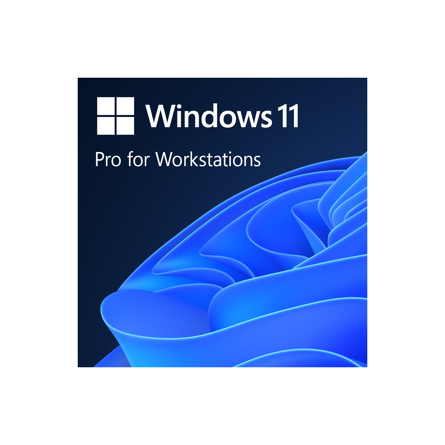 Windows 11 Pro for Workstation Windows 11 Pro for Workstation